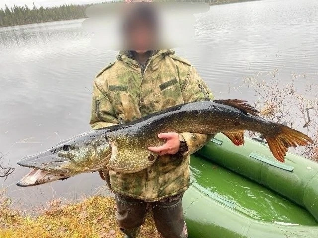 🎣 Северянин поймал щуку мечты