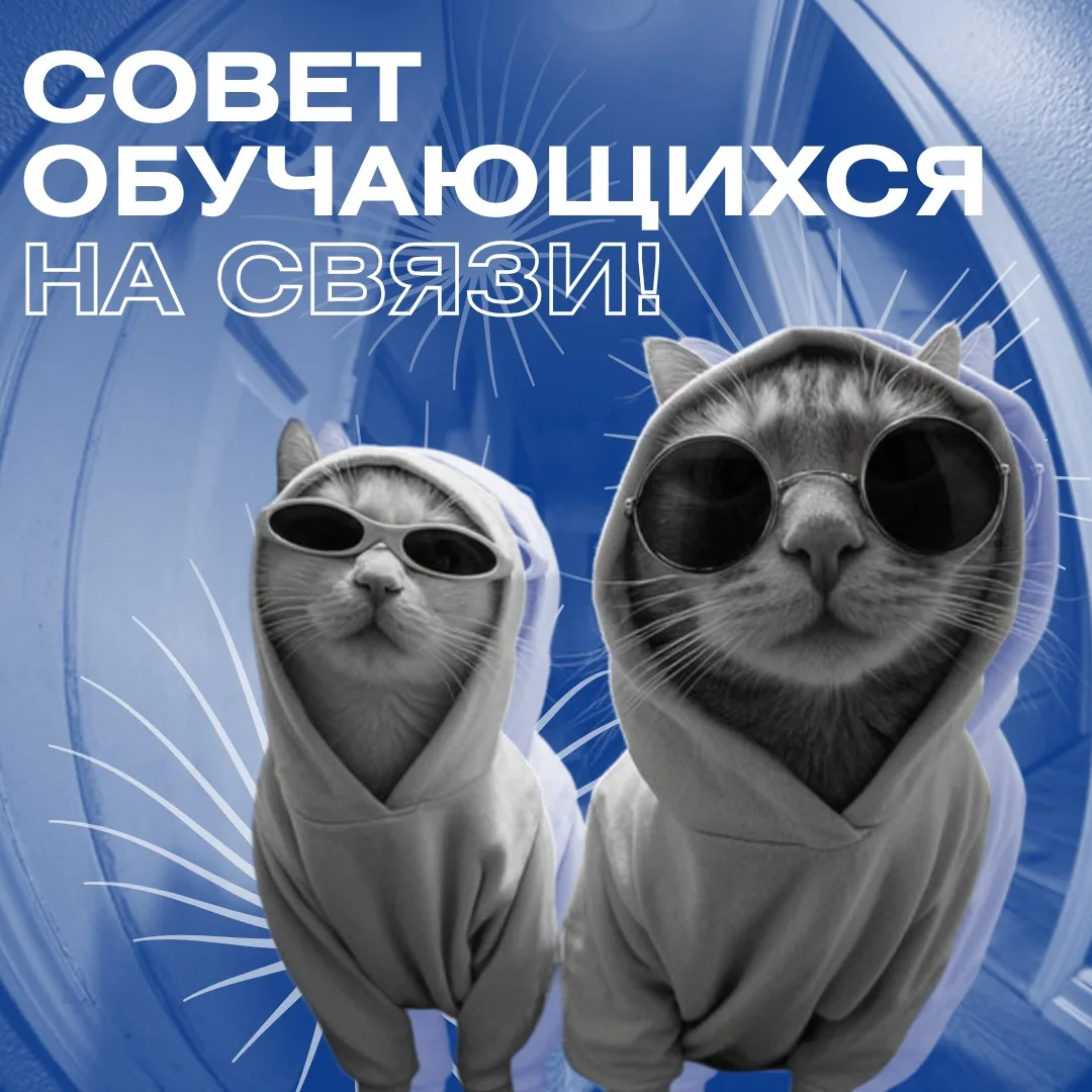 🔵 Совет обучающихся ВГСПУ на связи!