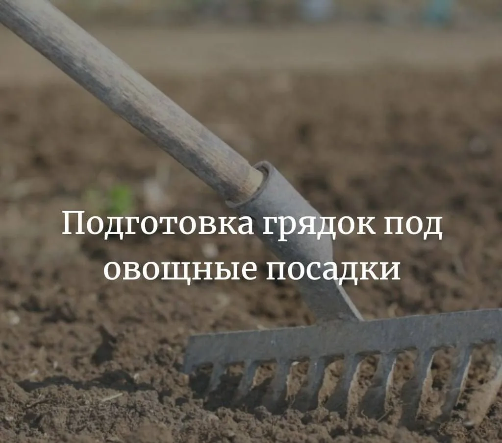 Подготовка грядок под овощные посадки
#лайфхаки

🌱Для тыквенных (огурцы, кабачки, тыквы, патиссоны,