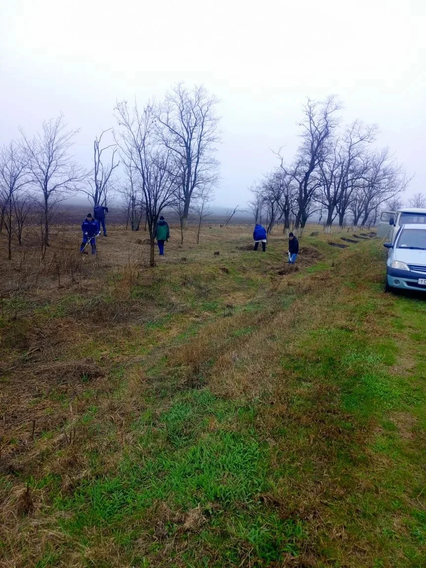 «Мы за чистоту» Работники Труновского участка Шпаковского филиала провели уборку закрепленной террит