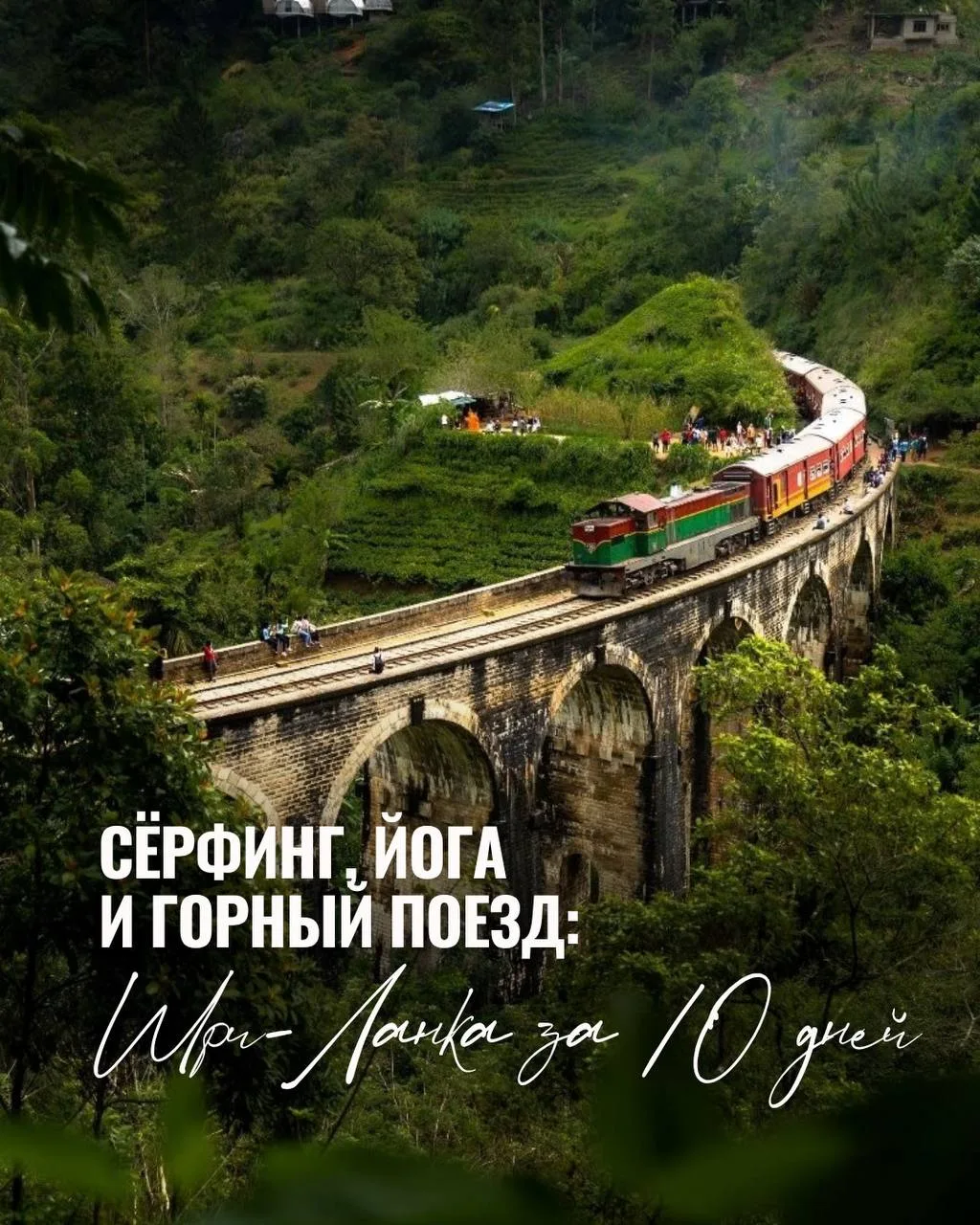 СЁРФИНГ, ЙОГА И ГОРНЫЙ ПОЕЗД: ШРИ ЛАНКА ЗА 10 ДНЕЙ🏄🚂