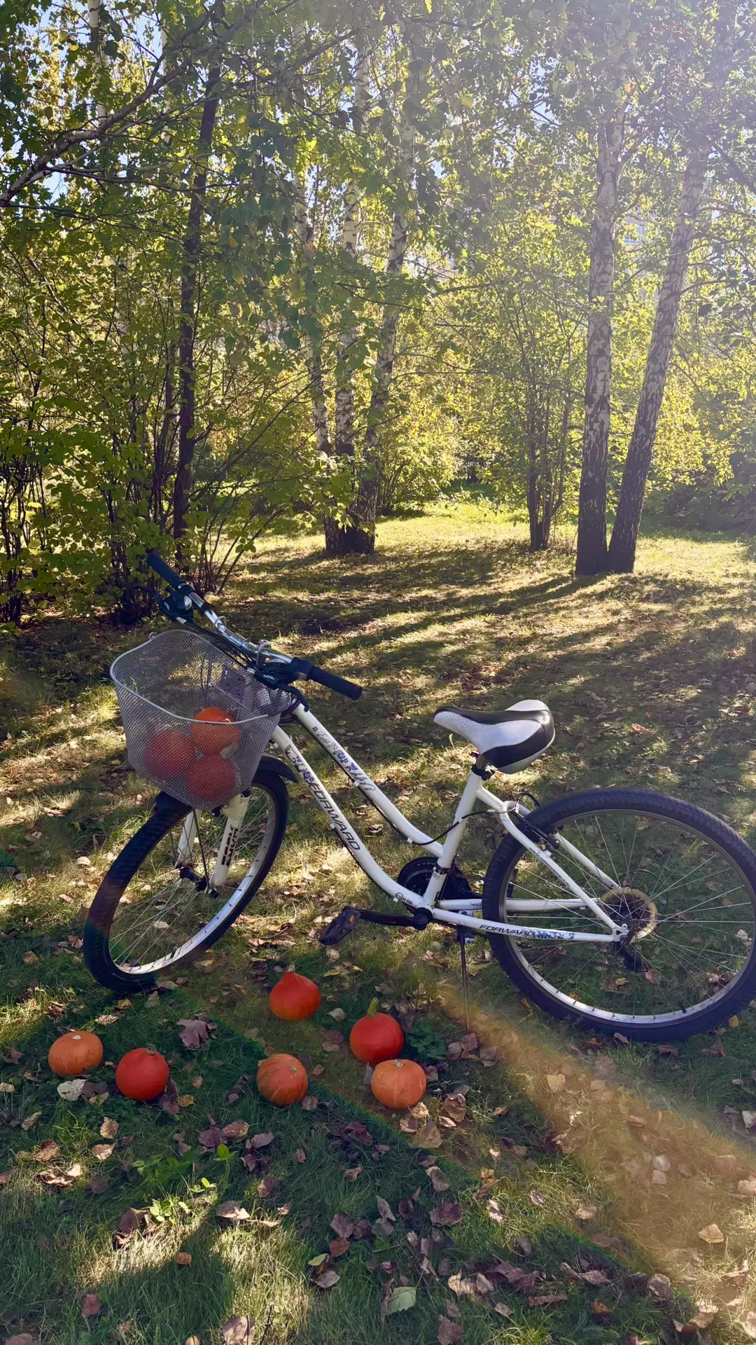 Уже завтра снимаю с 🎃