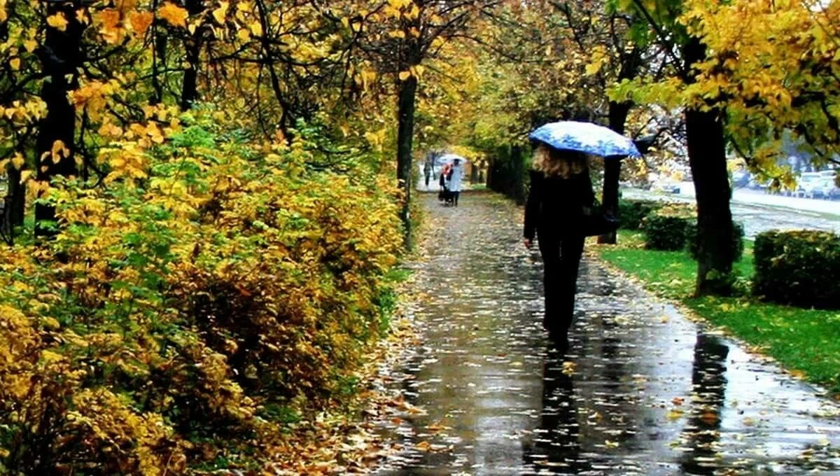 ☁️ В Барнауле 4 октября будет тепло, но пасмурно