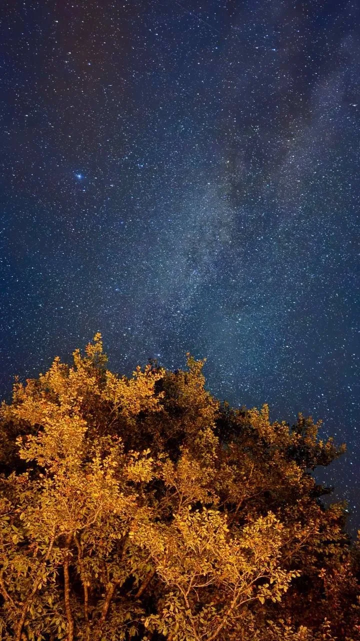 😍Прямо сейчас в горах Сочи