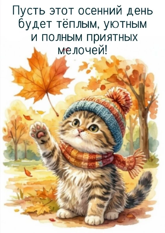 Открытки: подписаться ❤️