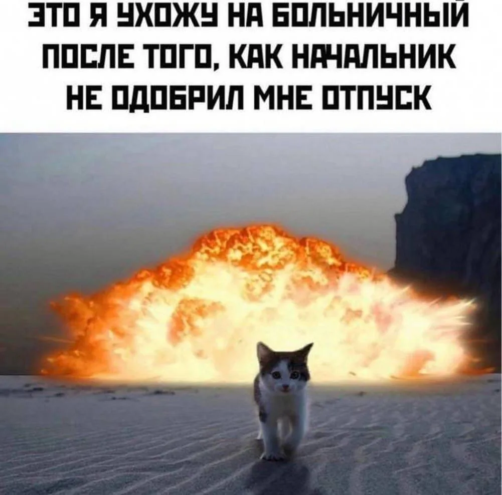 Курганцы смогут получать до 6 827 рублей за день на больничном.   Такую сумму в 2026 году будут выпл