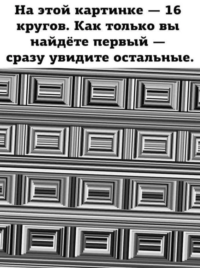 На этой картинке 16 кругов. 

Как только вы найдете первый - сразу увидите остальные.