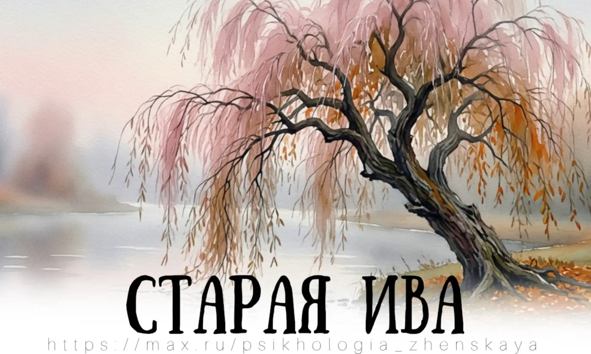 Катя вышла во двор и спросила у семилетнего сына Егорки:
