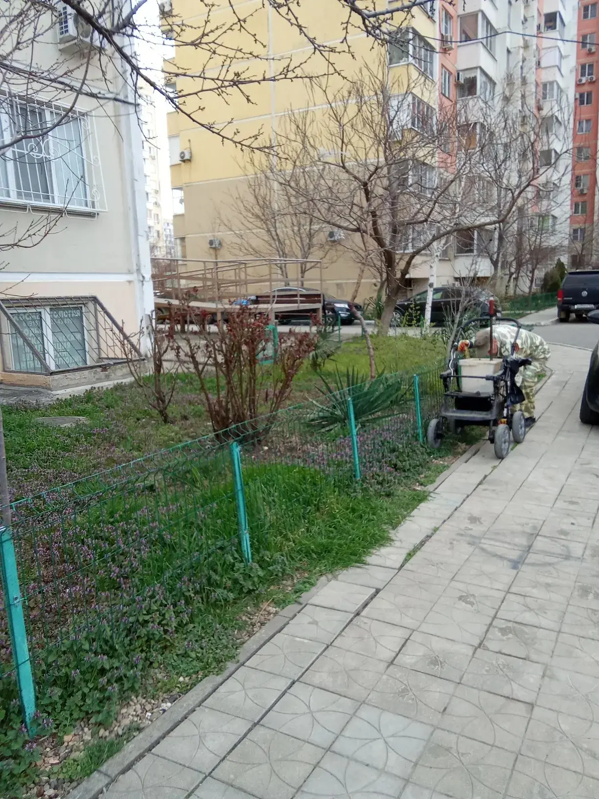 Уборка территории - ул. Академика Лукьяненко д. 36