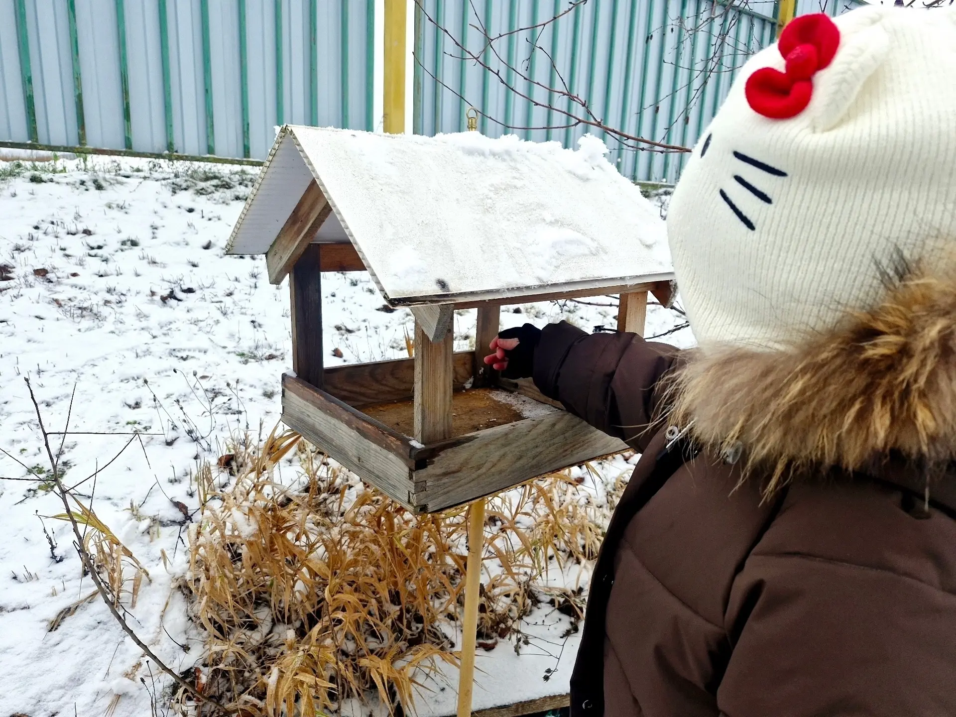 Зимний труд детей — это полезная и радостная деятельность на свежем воздухе. Трудовая деятельность н