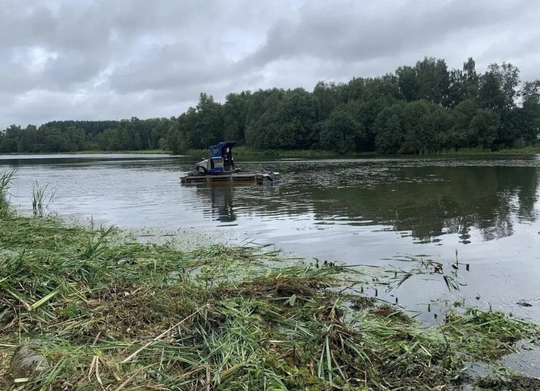 🧹 В Старом Городке начали расчищать пруд на Сетуни
