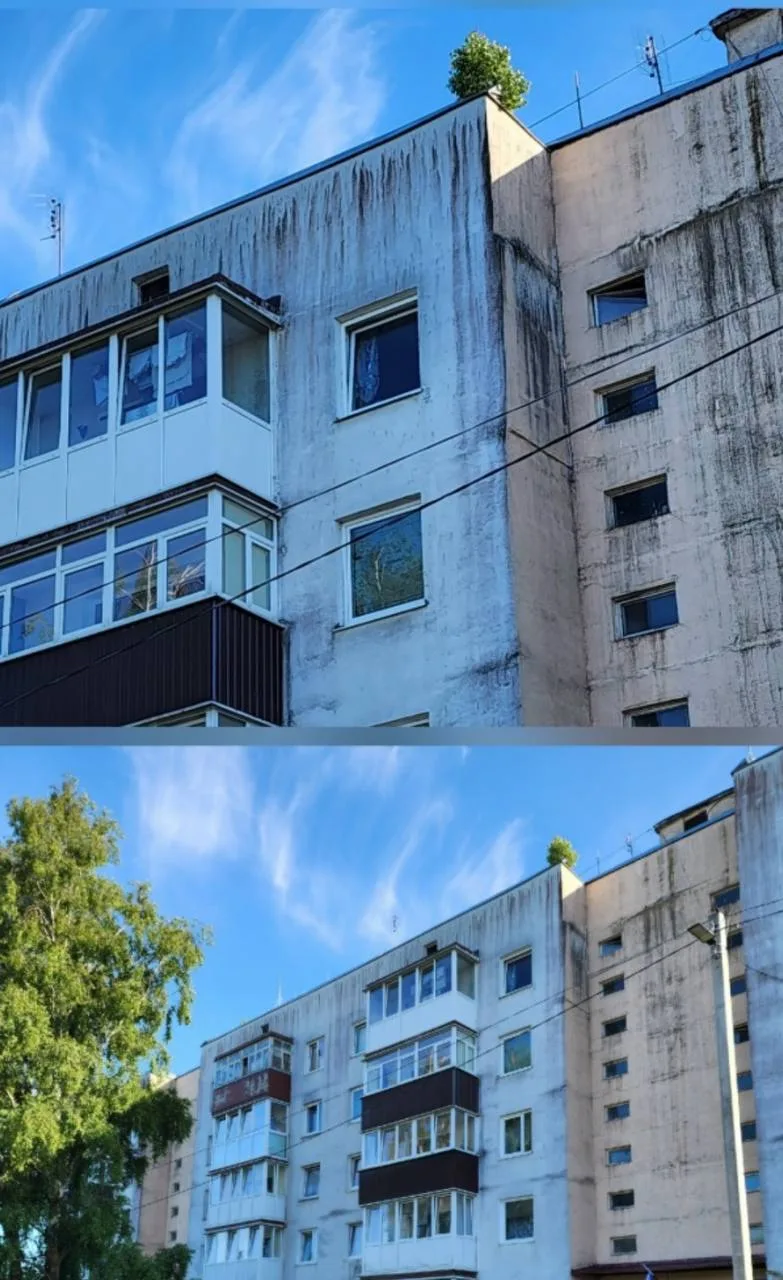 Борщевик во дворах, невывезенный мусор, не убраный подьезд - это все мелочи!!!
