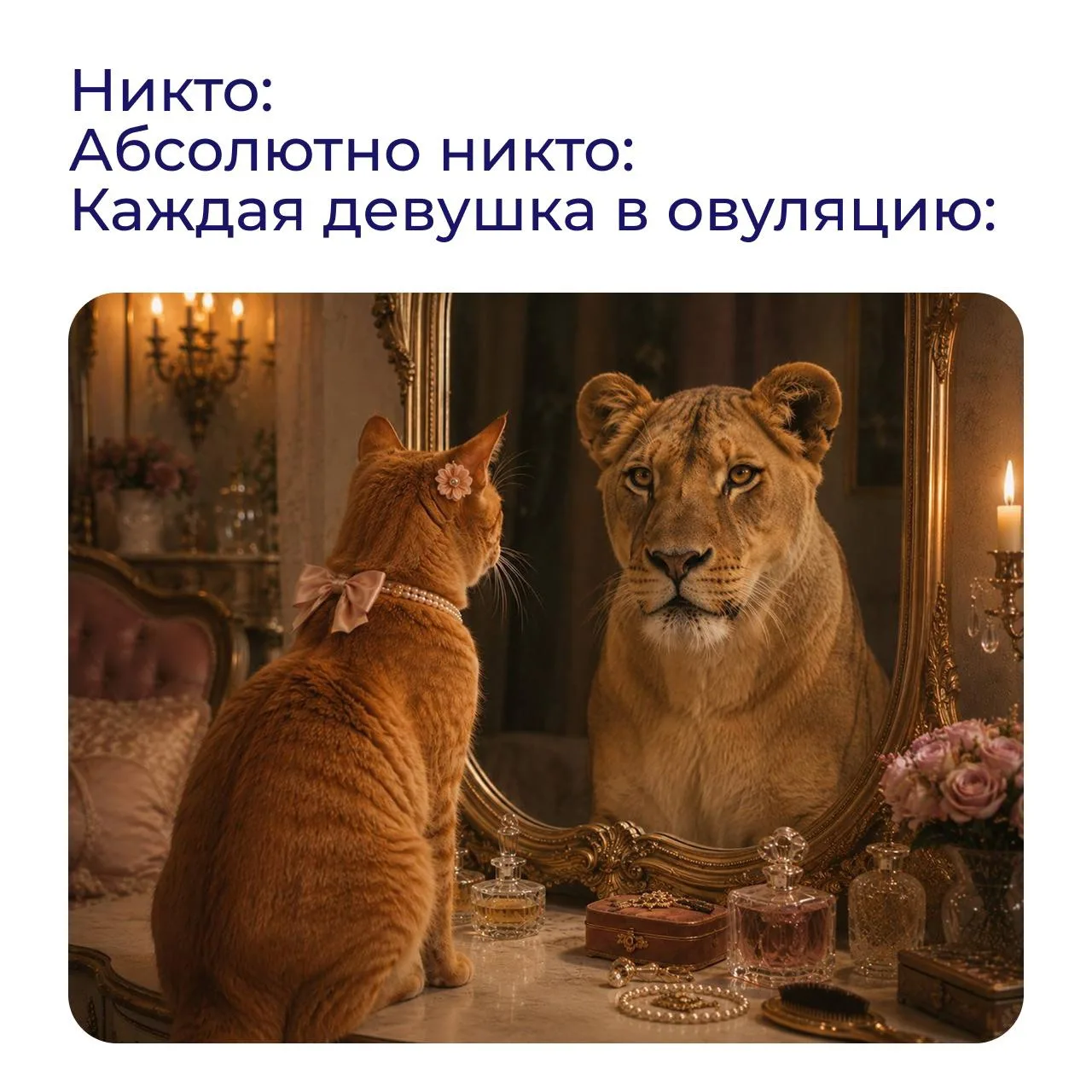 Чем заняться в овуляцию, когда хочется всех очаровать