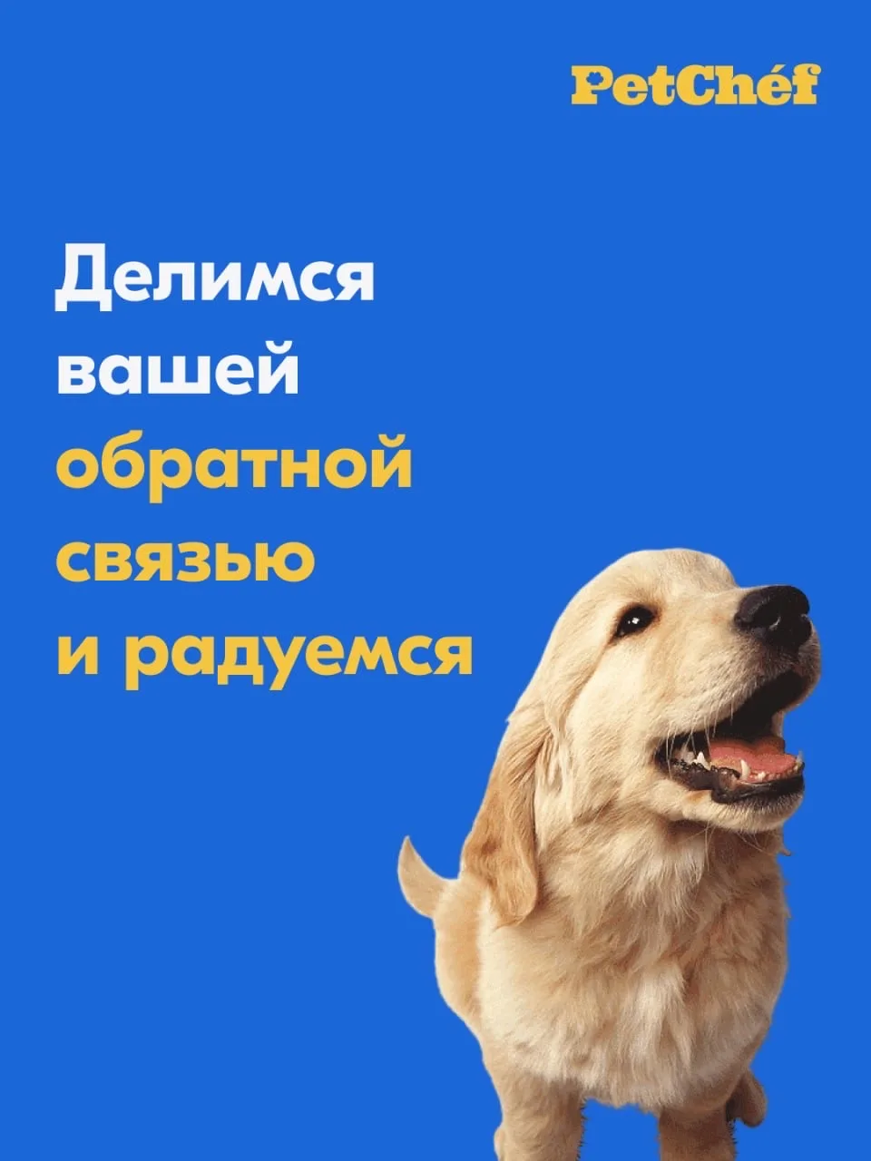 Рады стараться, чтобы ваш питомец получал качественное и вкусное питание: [контакт скрыт]

А ваши от