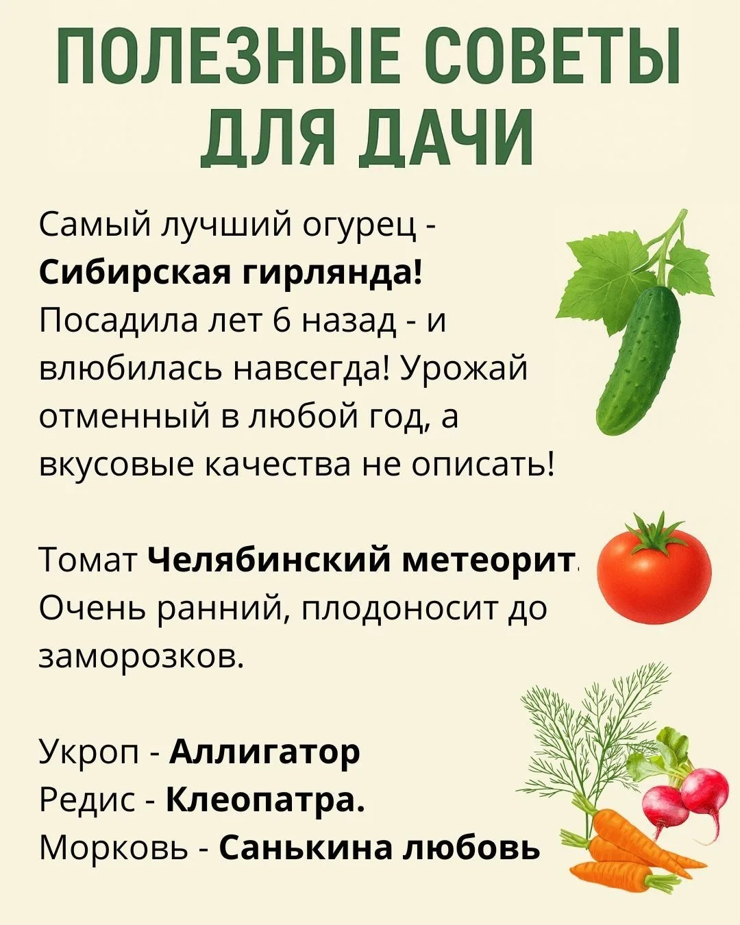 Дача | Подпишись 👇🏻