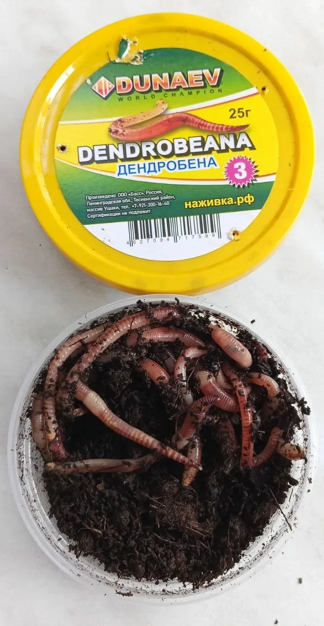 Свежее поступление живой наживки! 
Черви "Дендробена" - 500₽