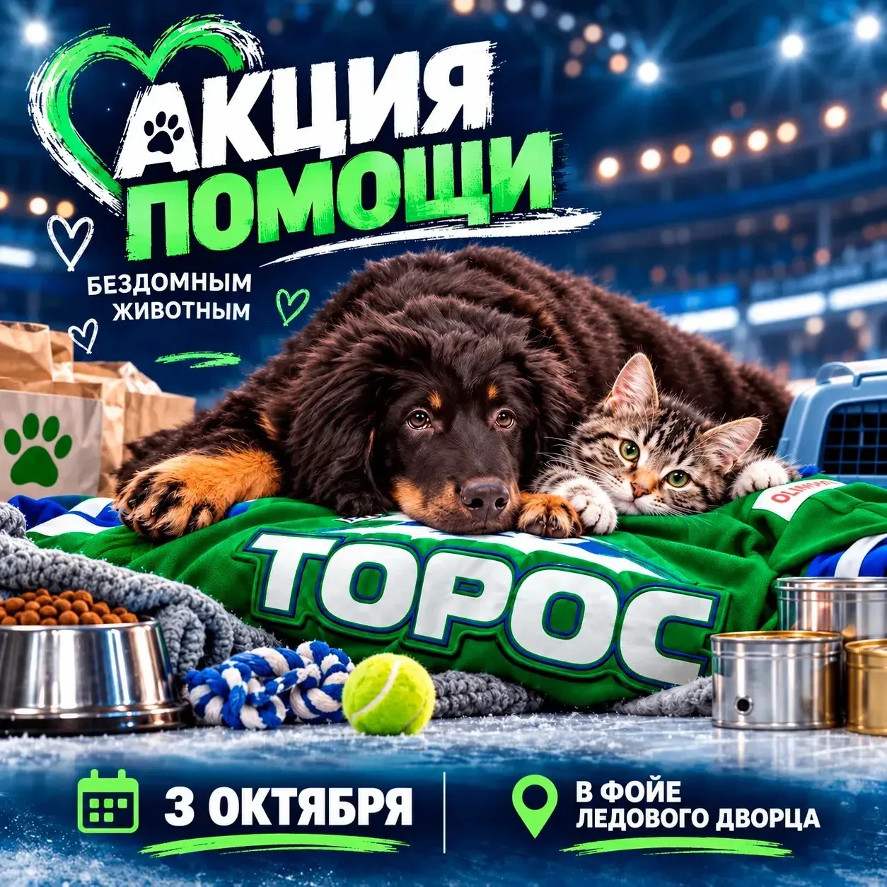 3 октября – акция помощи бездомным животным 🐾
