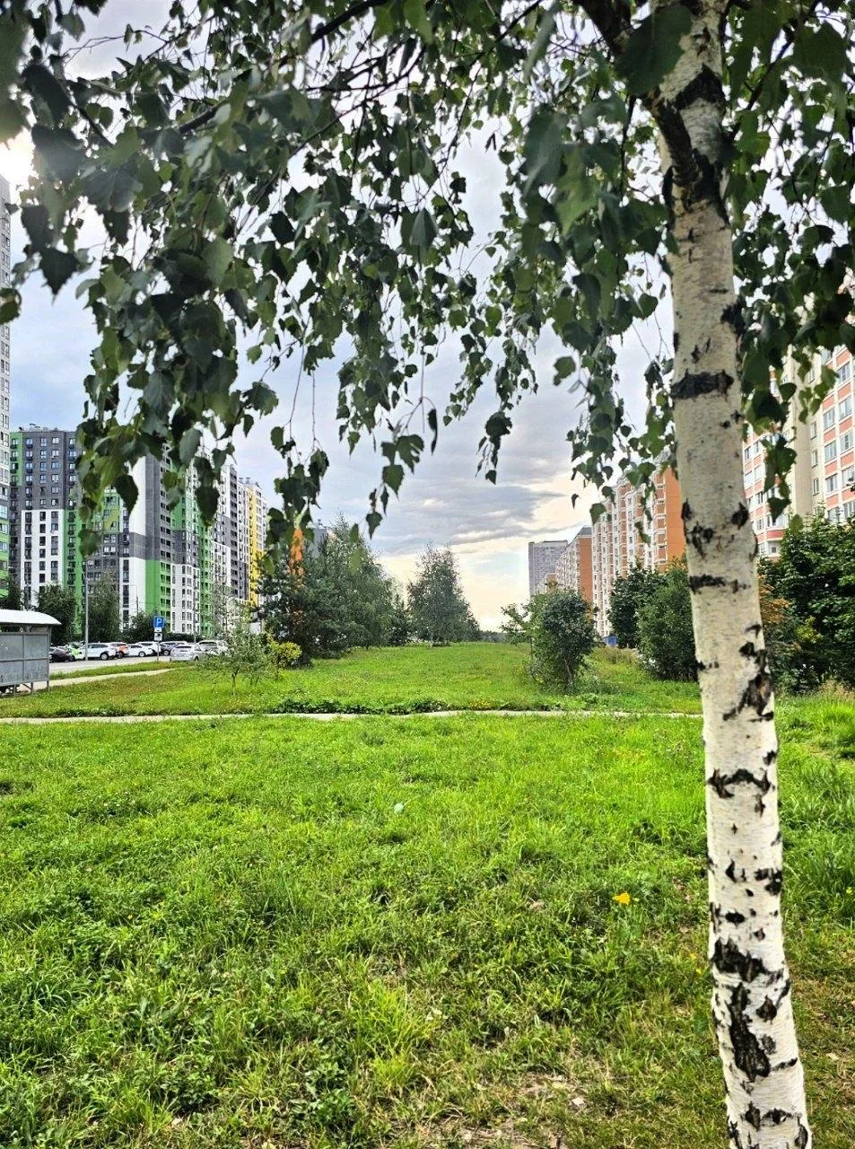 Хотелось бы, чтобы август был капельку теплее ☀