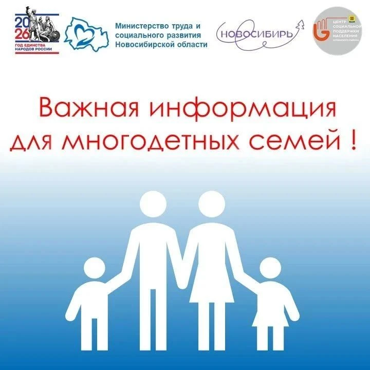 ✅Более 35 тысяч школьников Новосибирской области получат выплаты к школе в беззаявительном порядке✅
