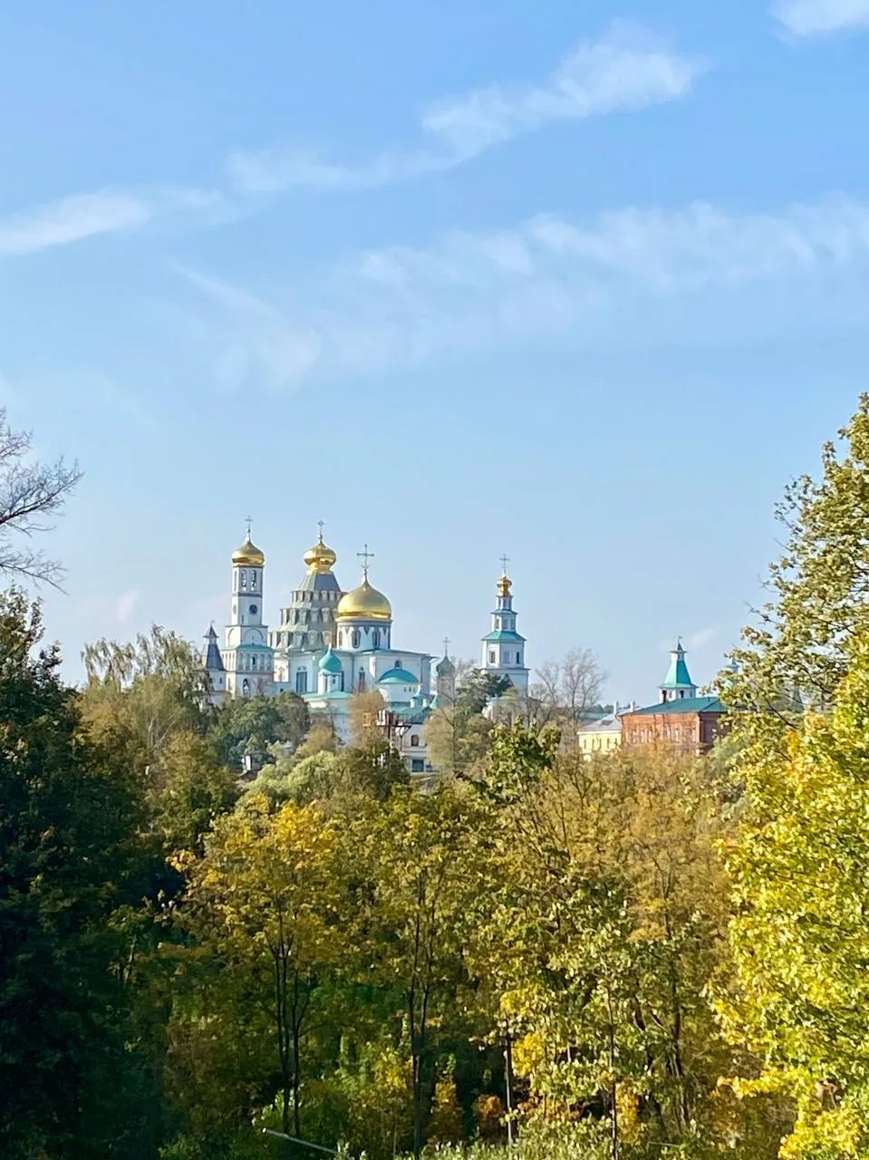 В преддверии золотой осени делимся с вами  маршрутом прогулки  в Истре - клены, золотые...