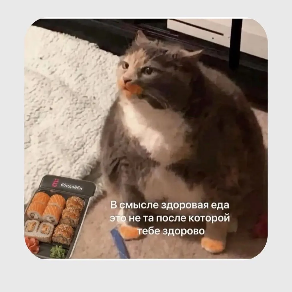 Мемная подборка для тебя. Выбираем самый смешной в комментариях 👇