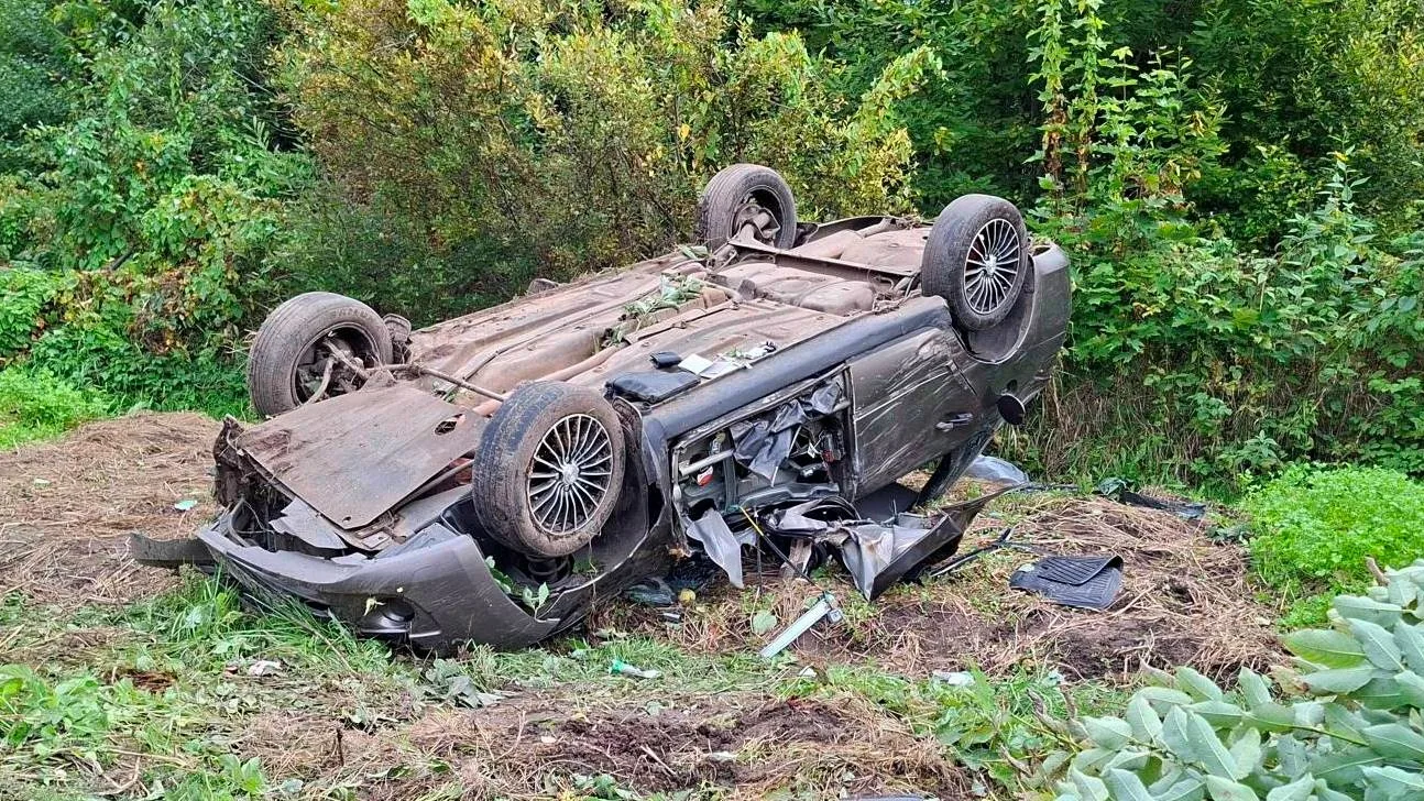 🚔 Стали известны подробности смертельной аварии в Малой Вишере