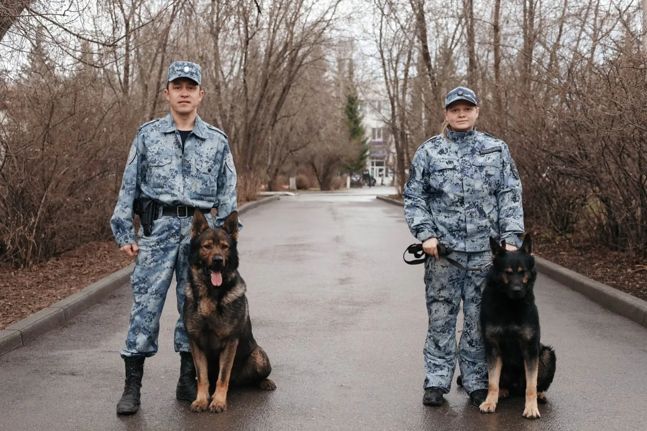 🐾 Хвостатые напарники на страже порядка