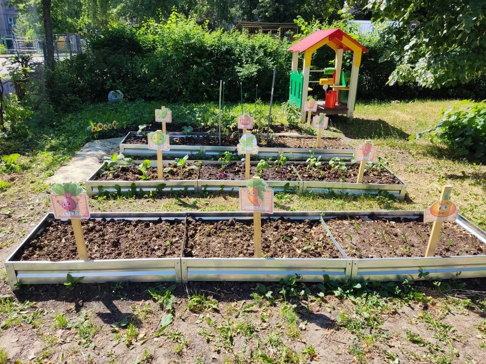 Наш весёлый огород: Маленькие садоводы в детском саду! 🌱🥕🍅

Ура! В нашем детском саду теперь есть