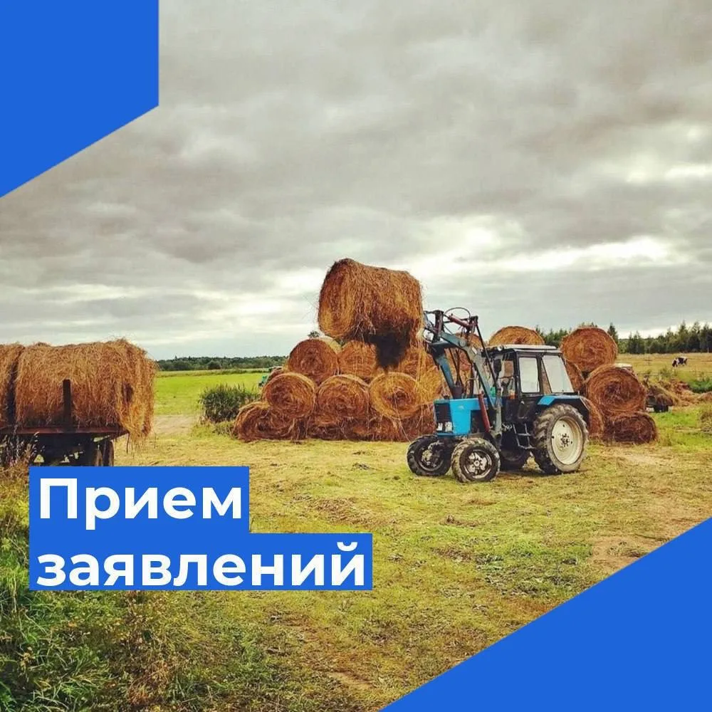 Администрация Парабельского сельского поселения принимает заявления от владельцев личны...
