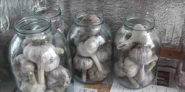Сарымсак саклауның яхшы ысулы