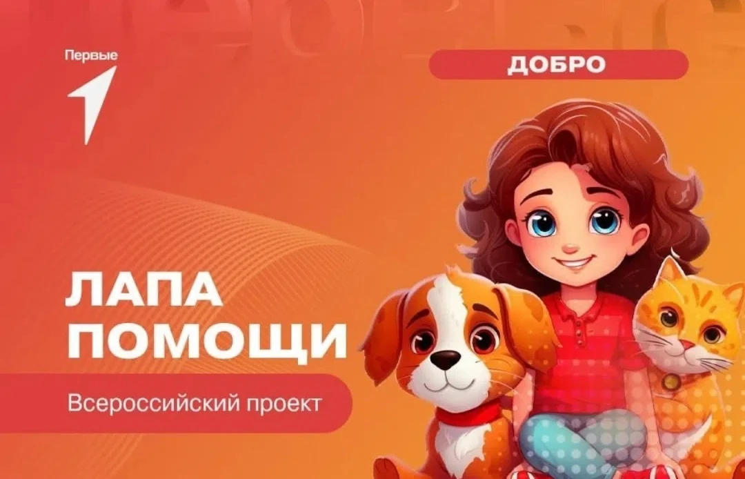 🐾ЛАПА ПОМОЩИ: снова объединяемся ради доброго дела! 🐾️