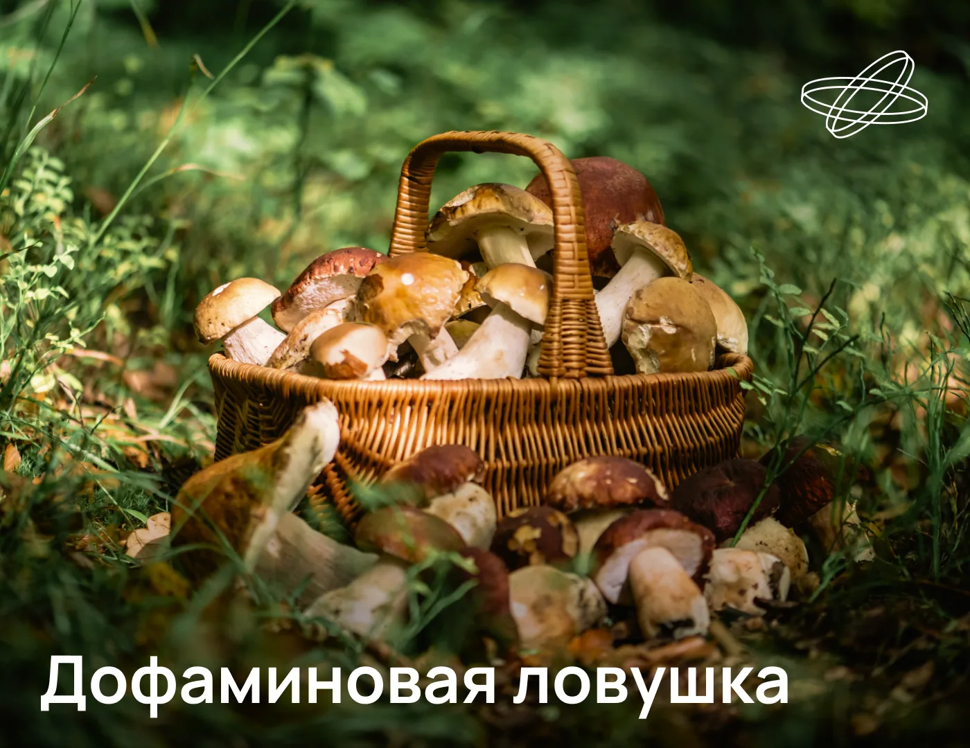 Грибы рода Cordyceps подчиняют себе насекомых, превращая их в настоящих зомби. Но и люд...