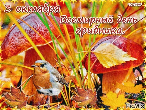 Всемирный день грибника