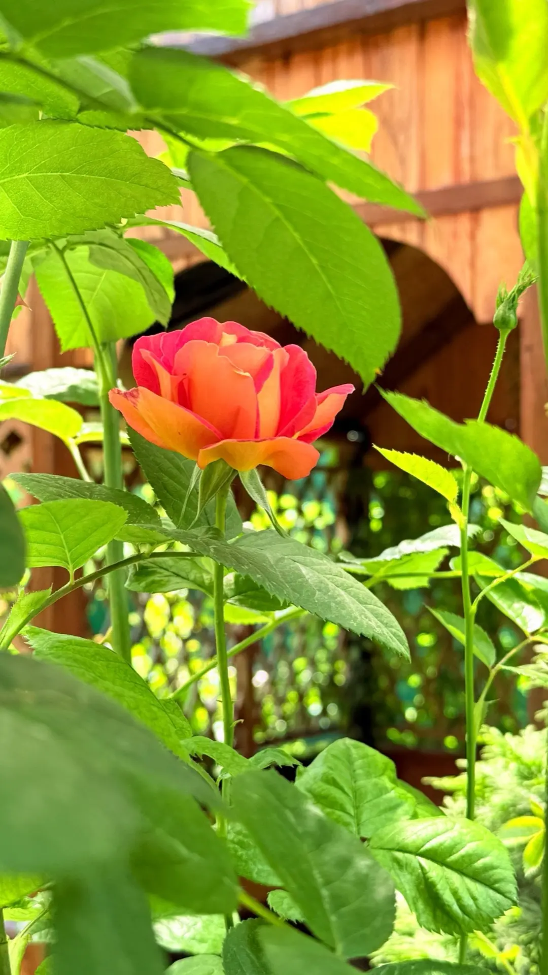 Всем хороших выходных 🌹