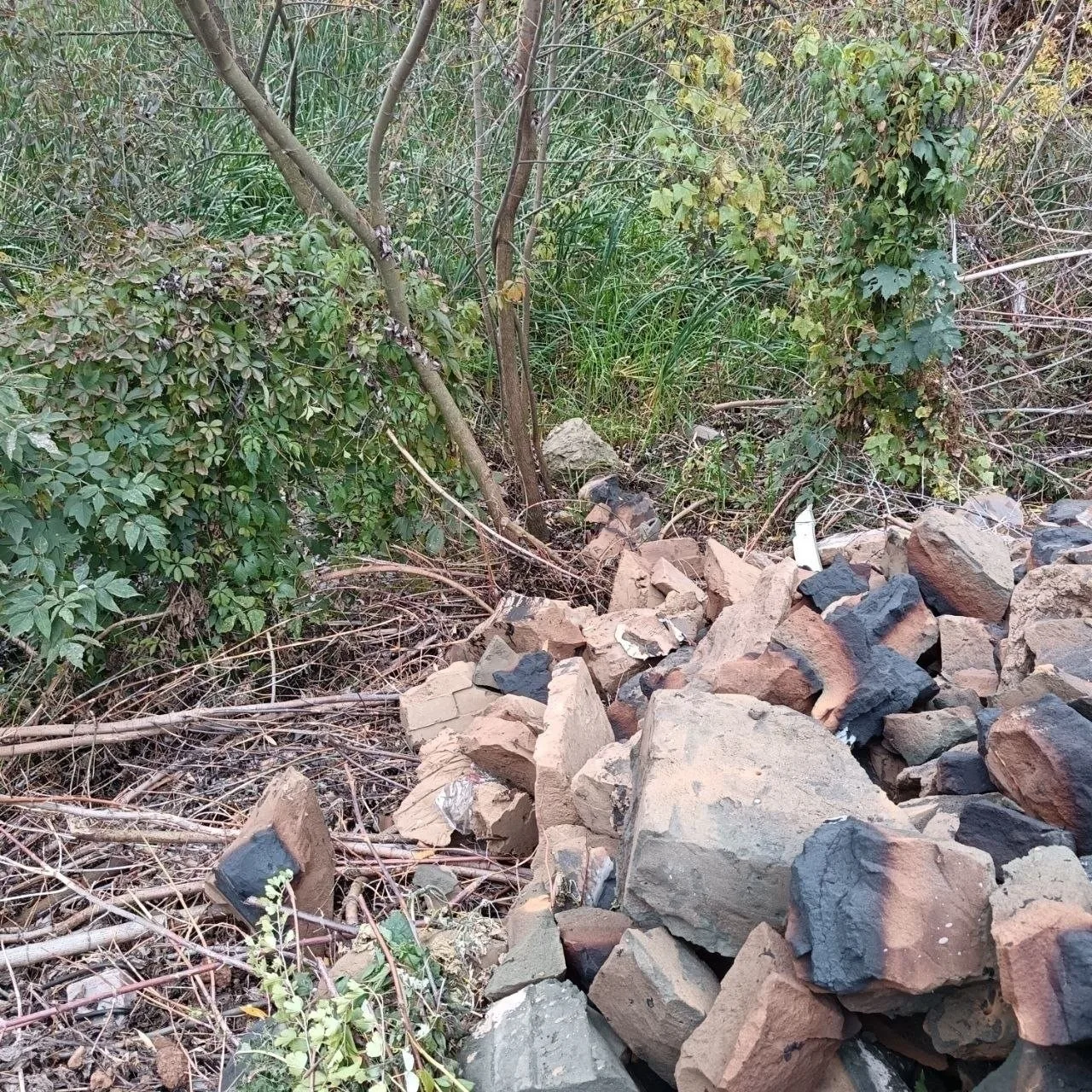 🏞 Берег озера Глушица в Жуковском снова заваливают строймусором