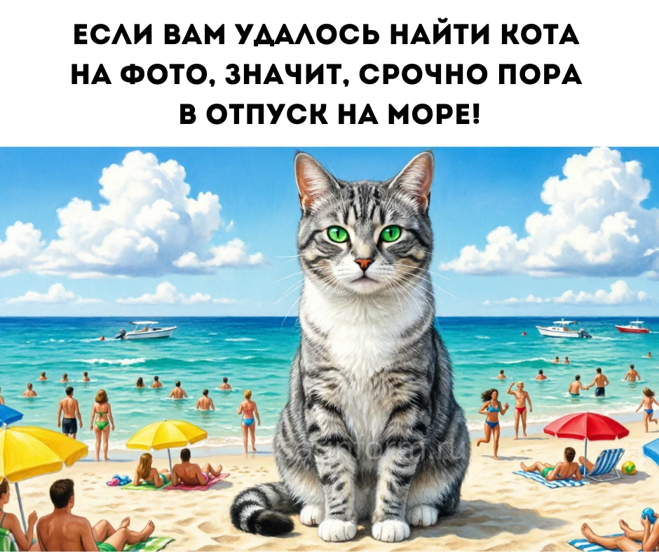 Кто не нашёл котика, работает дальше😏