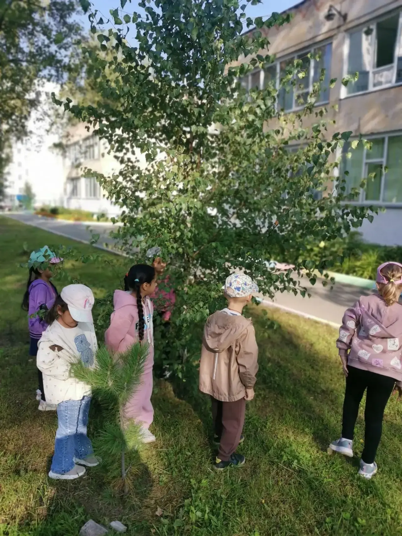 🌳 «О чём шепчутся деревья?» Спросили у наших ребят! 🌳