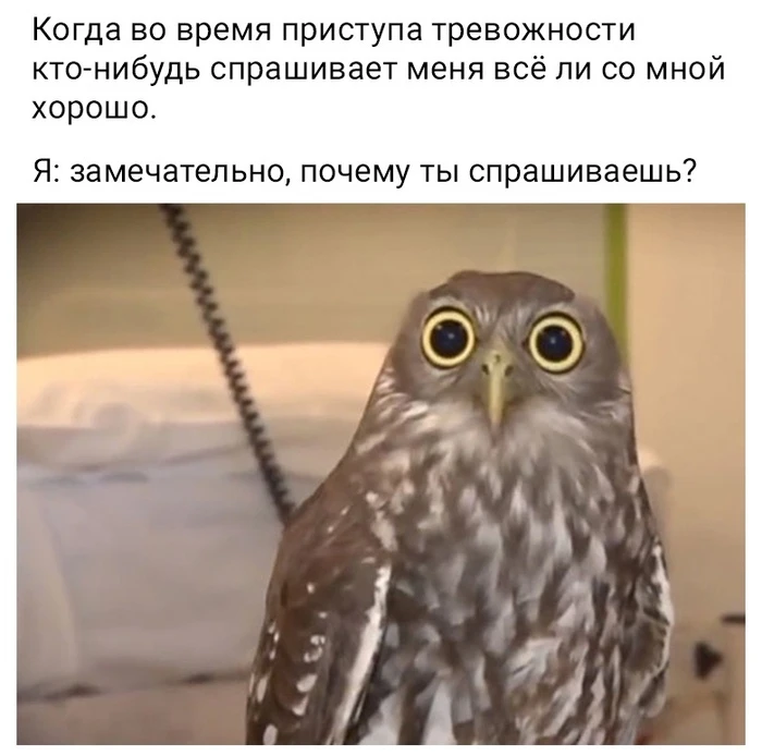 Перфекционизм не рождается на пустом месте. Чаще всего его корни уходят в детство, в ср...