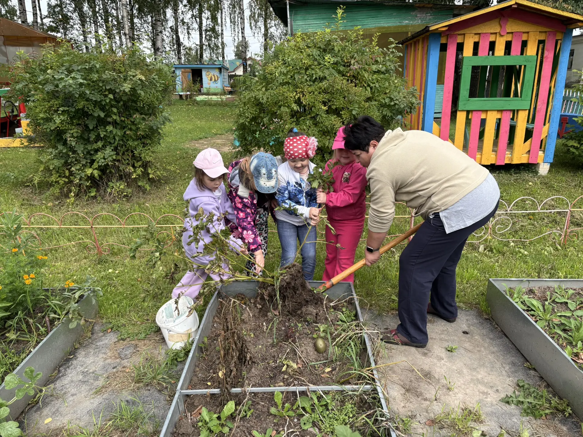 ❗️❗️❗️Операция «Кладоискатели» 👨‍🌾Юные овощеводы приступили к сбору урожая.