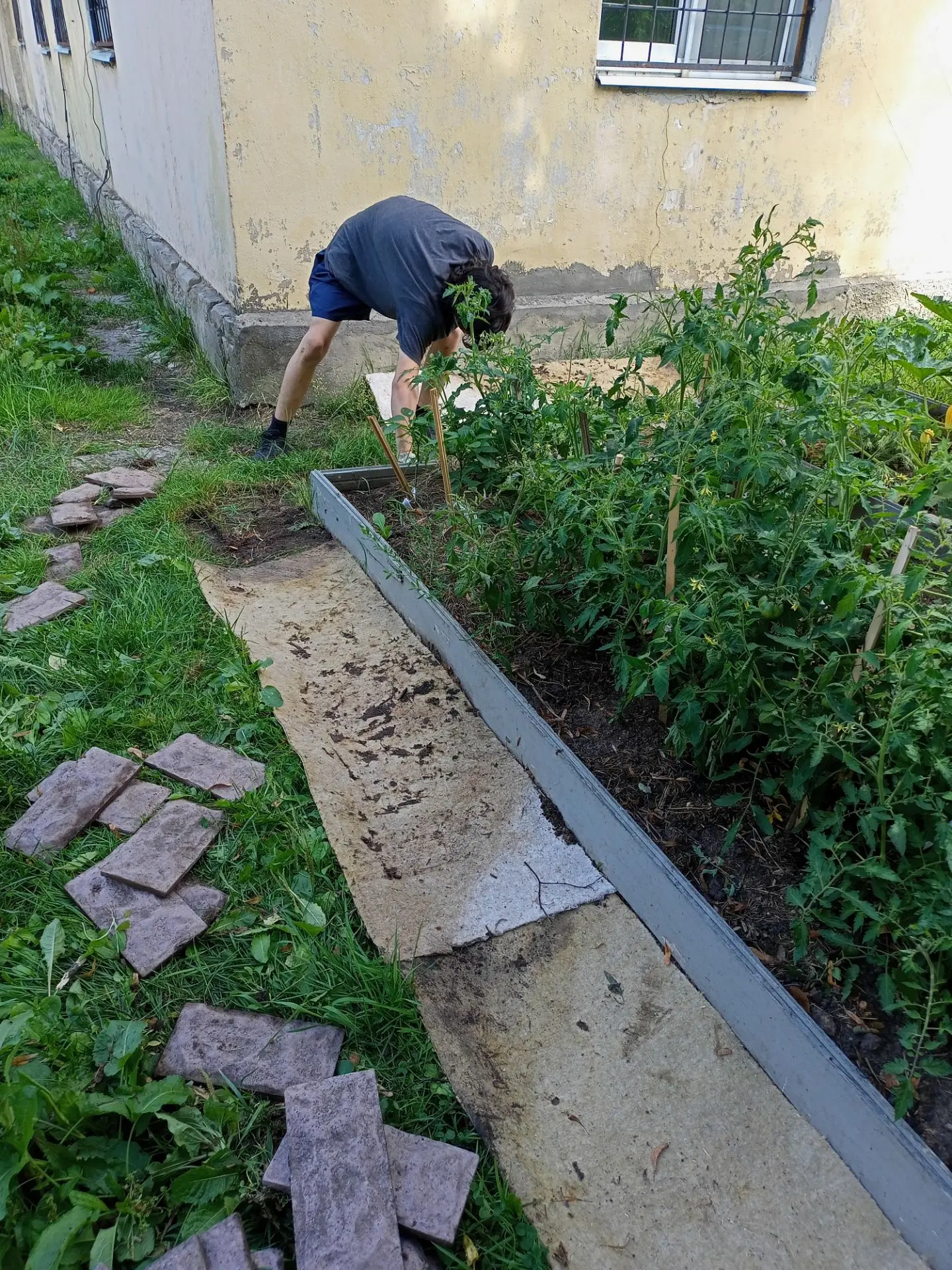 В огороде много гряд
Кабачки тут и салат, 
Тут и свекла, и горох. 
А огурчик разве плох?
 Наш зелены