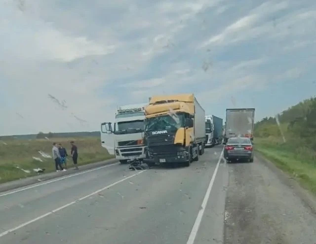 У соседей.