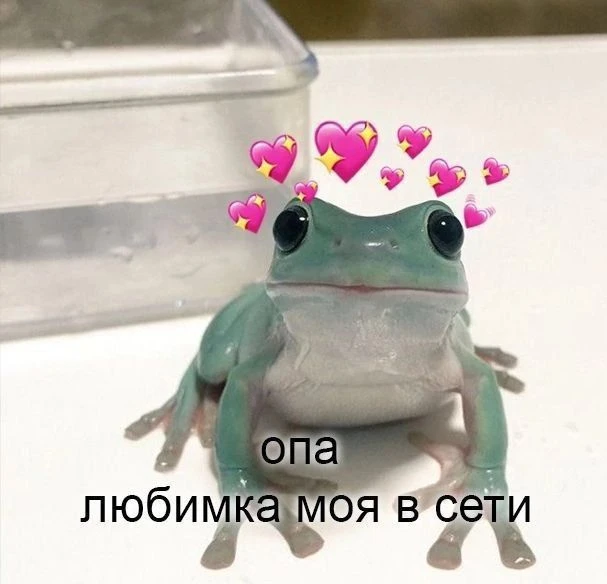 любим лягушек и жабок
