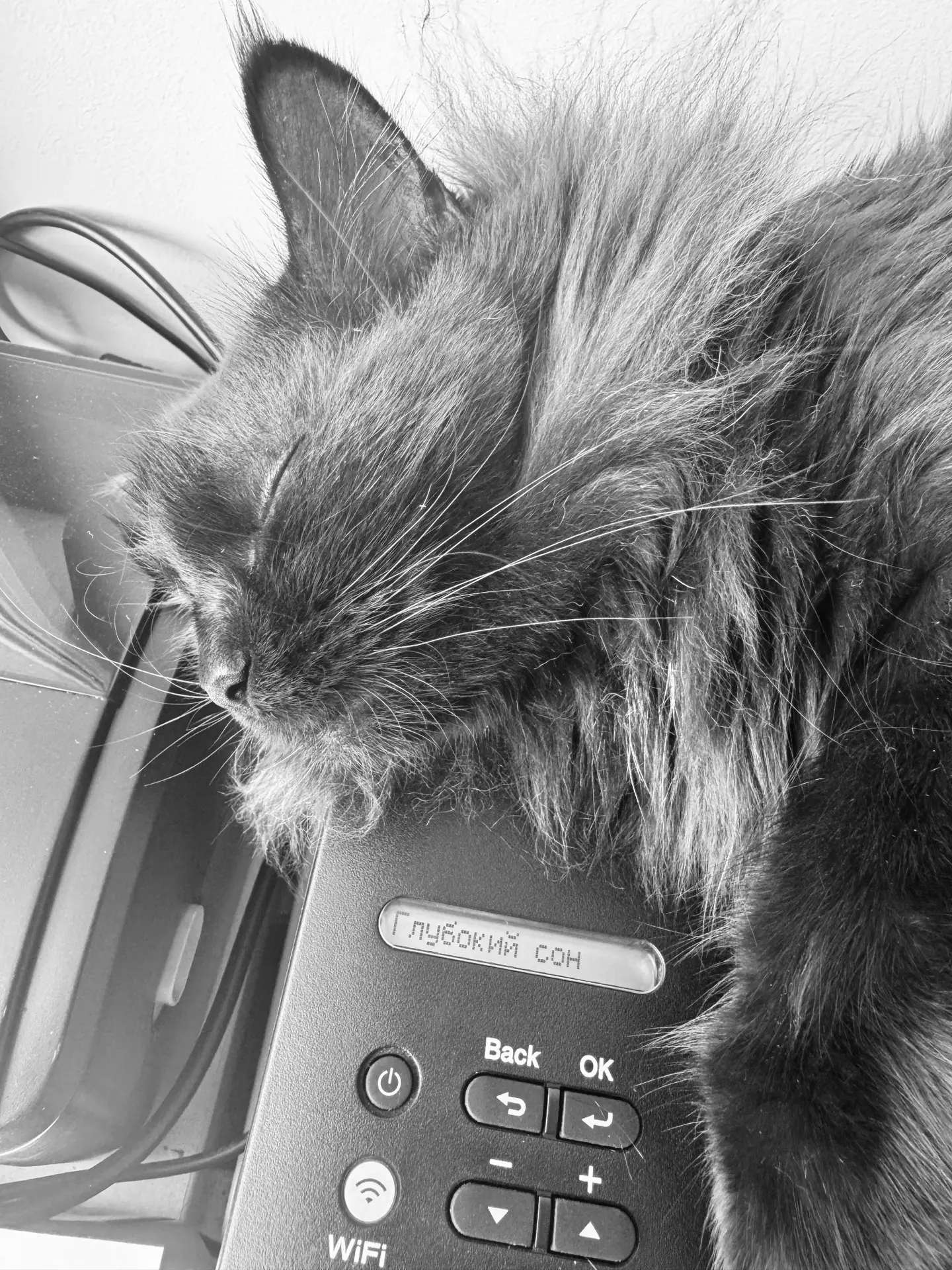 Вредник в отпуске: не будить 😺

Работника, если он сам не против, можно отозвать из отпуска.
 
Но е