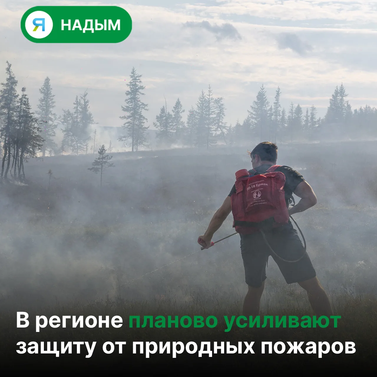🪂  Парашютисты-десантники из ХМАО помогают тушить лесные пожары на Ямале
