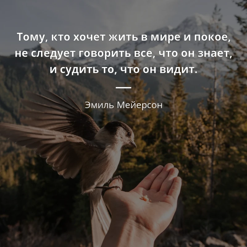 „Тому, кто хочет жить в мире и покое, не следует говорить все, что он знает, и судить то, что он вид