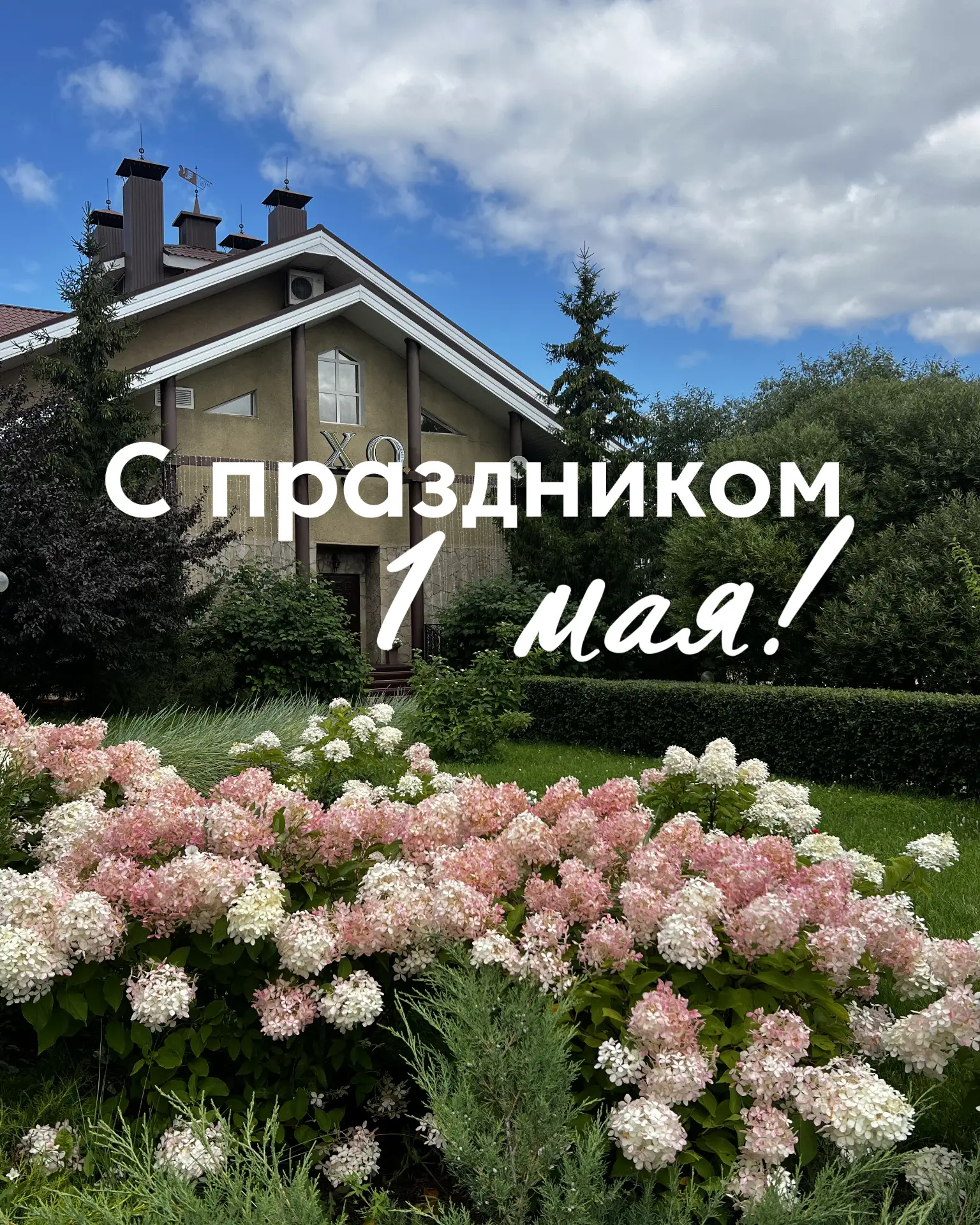 🌿 С Первомаем! Пусть май начинается с тепла и хороших планов