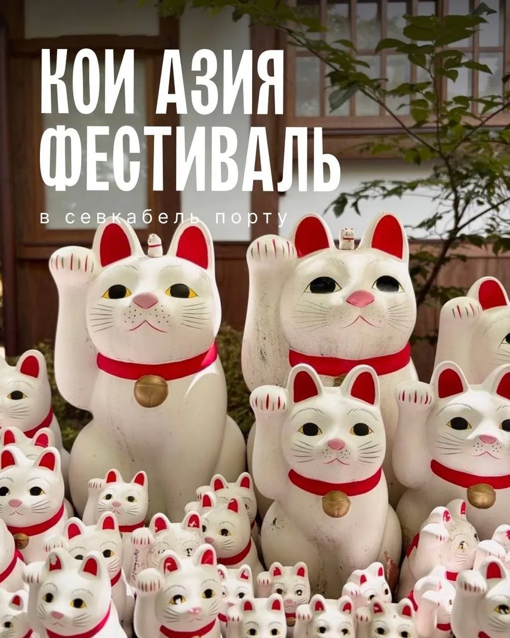 Фестиваль азиатской культуры