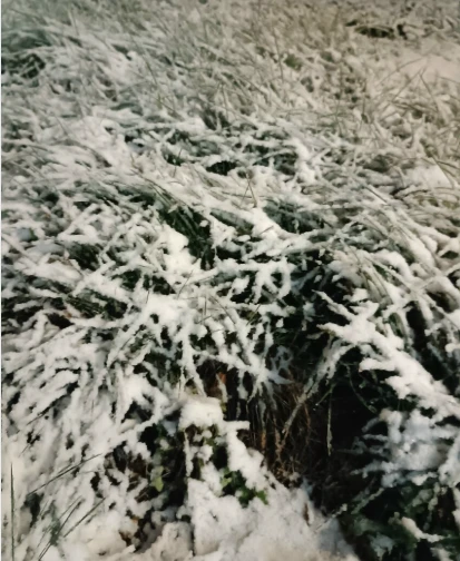 ❄️❄️❄️❄️Здравствуй,Зимушка зима❄️❄️❄️❄️❄️🌨️🌨️🌨️🌨️🌨️