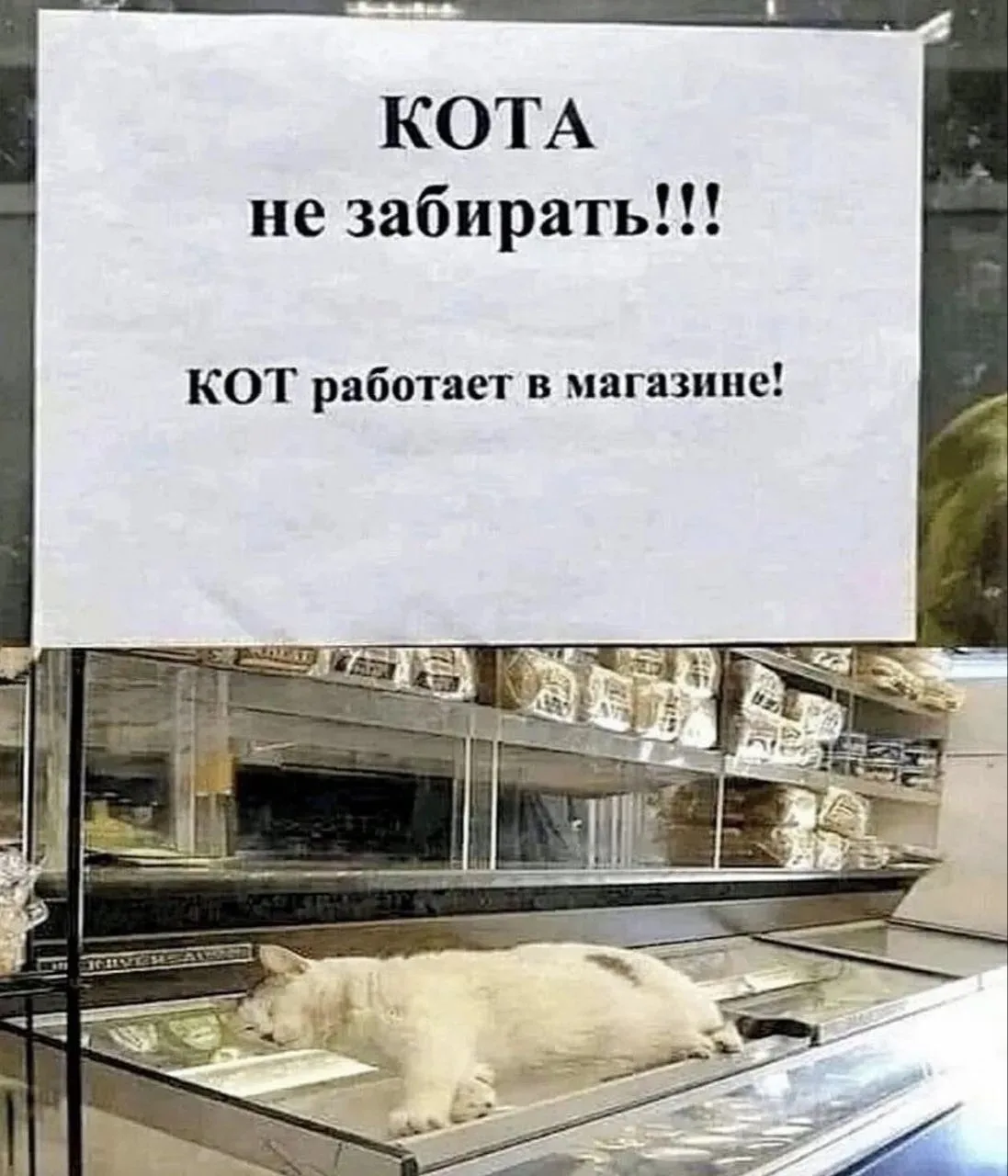 ПРУFИКИ В МАХ