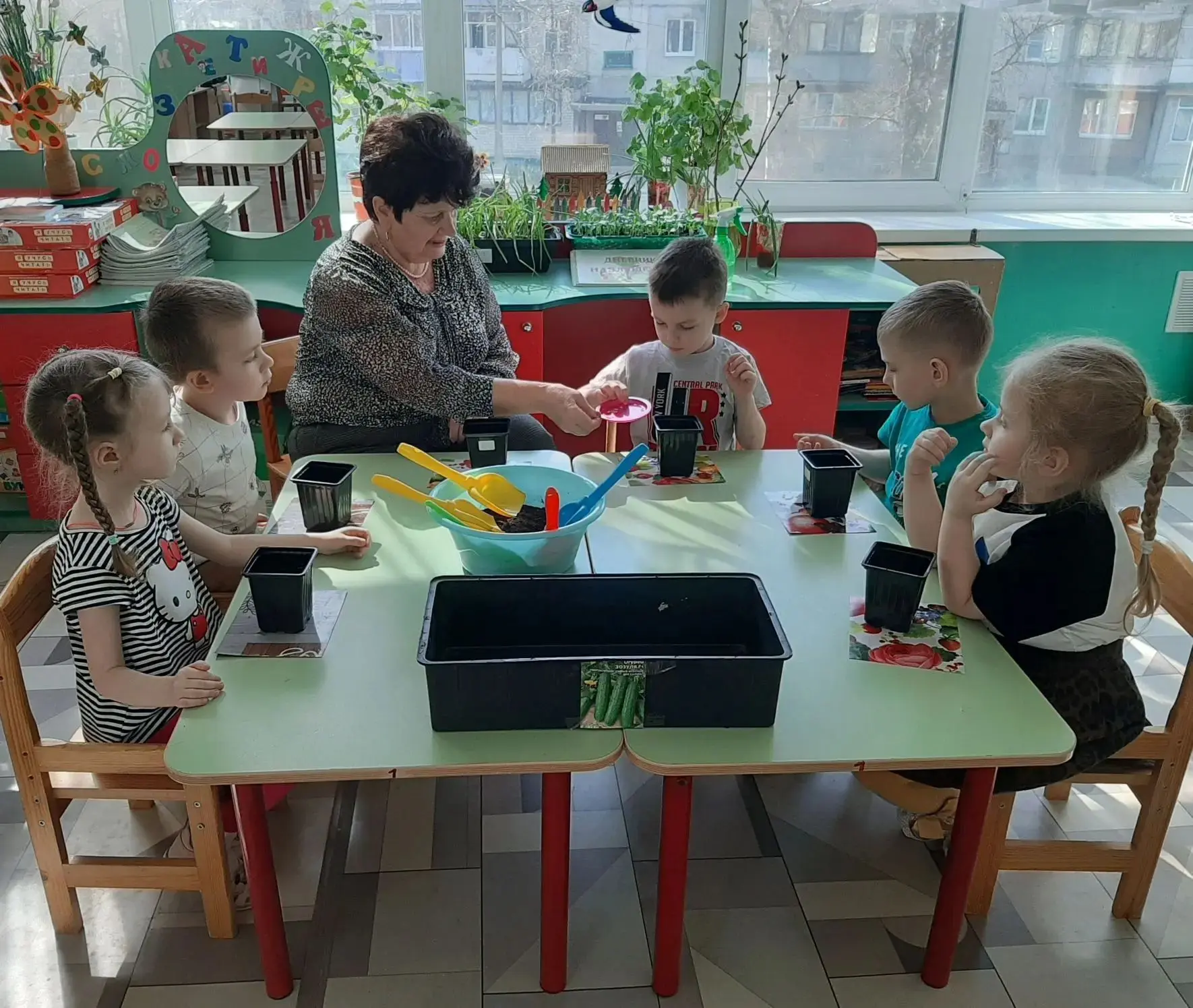 Огород на подоконнике: маленькие чудеса в детских садах Курска  На подоконниках детского сада № 85 р